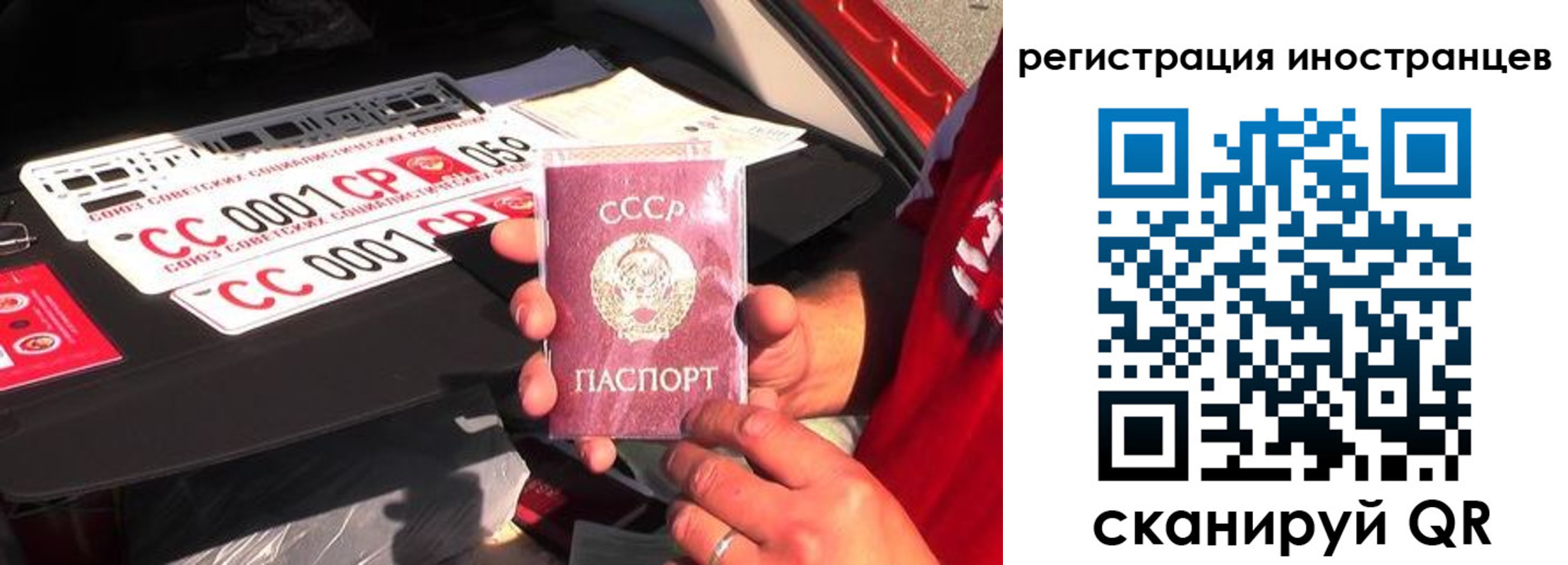 прописка гарантия в Ясногорске